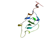 Zinc Finger CCCH-Type Containing Protein 12D (ZC3H12D)