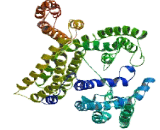 Zinc Finger CCCH-Type Containing Protein 18 (ZC3H18)