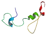 Zinc Finger CCCH-Type Containing Protein 3 (ZC3H3)