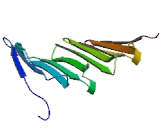 Zinc Finger, CCHC-Type And RNA Binding Motif 10 (ZCRB10)