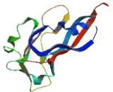 Zinc Finger MIZ Domain Containing Protein 1 (ZMIZ1)