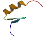 Zinc Finger Protein 10 (ZNF10)