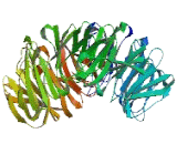 Zinc Finger Protein 112 Homolog (ZFP112)