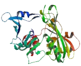 Zinc Finger Protein 117 (ZNF117)