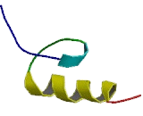 Zinc Finger Protein 121 (ZNF121)