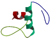 Zinc Finger Protein 131 (ZNF131)