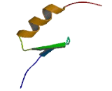 Zinc Finger Protein 135 (ZNF135)