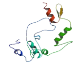 Zinc Finger Protein 14 Homolog (ZFP14)