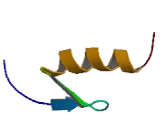 Zinc Finger Protein 143 (ZNF143)