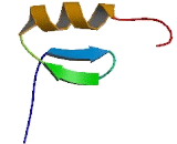 Zinc Finger Protein 146 (ZNF146)