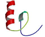 Zinc Finger Protein 154 (ZNF154)