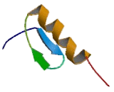 Zinc Finger Protein 16 (ZNF16)