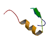 Zinc Finger Protein 161 Homolog (ZFP161)