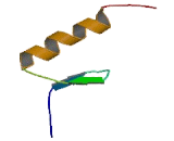 Zinc Finger Protein 17 (ZNF17)