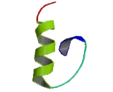 Zinc Finger Protein 18 (ZNF18)