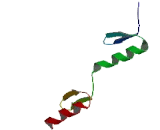 Zinc Finger Protein 180 (ZN<b>F180</b>)