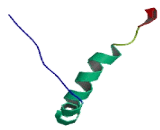 Zinc Finger Protein 181 (ZNF181)