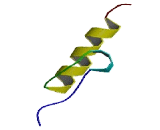 Zinc Finger Protein 184 (ZNF184)