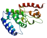 Zinc Finger Protein 185 (ZNF185)