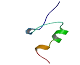 Zinc Finger Protein 197 (ZNF197)