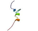 Zinc Finger Protein 2 (ZNF2)