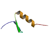 Zinc Finger Protein 22 (ZNF22)