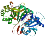 Zinc Finger Protein 229 (ZNF229)