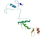 Zinc Finger Protein 232 (ZNF232)