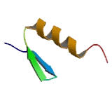 Zinc Finger Protein 239 (ZNF239)