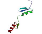 Zinc Finger Protein 24 (ZNF24)