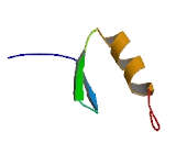 Zinc Finger Protein 248 (ZNF248)