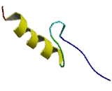 Zinc Finger Protein 25 (ZNF25)