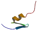 Zinc Finger Protein 253 (ZNF253)