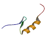 Zinc Finger Protein 26 (ZNF26)