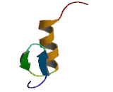 Zinc Finger Protein 273 (ZNF273)