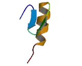 Zinc Finger Protein 28 (ZNF28)