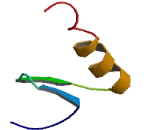 Zinc Finger Protein 28 Homolog (ZFP28)