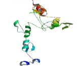 Zinc Finger Protein 284 (ZNF284)