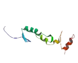 Zinc Finger Protein 295 (ZN<b>F295</b>)