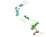 Zinc Finger Protein 302 (ZNF302)