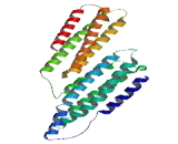 Zinc Finger Protein 326 (ZNF326)