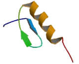 Zinc Finger Protein 333 (ZNF333)