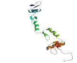 Zinc Finger Protein 337 (ZNF337)