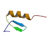 Zinc Finger Protein 34 (ZNF34)