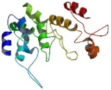 Zinc Finger Protein 341 (ZNF341)