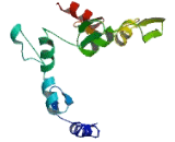 Zinc Finger Protein 343 (ZNF343)