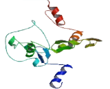 Zinc Finger Protein 347 (ZNF347)