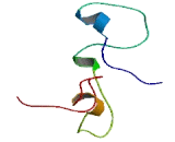 Zinc Finger Protein 36, C3H-Type Like 1 (ZFP36L1)