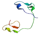 Zinc Finger Protein 36, C3H-Type Like 2 (ZFP36L2)