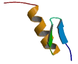 Zinc Finger Protein 362 (ZNF362)